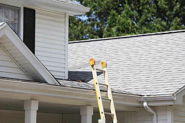 Affordable Siding Repair and Maintenance Services in Port Byron, NY